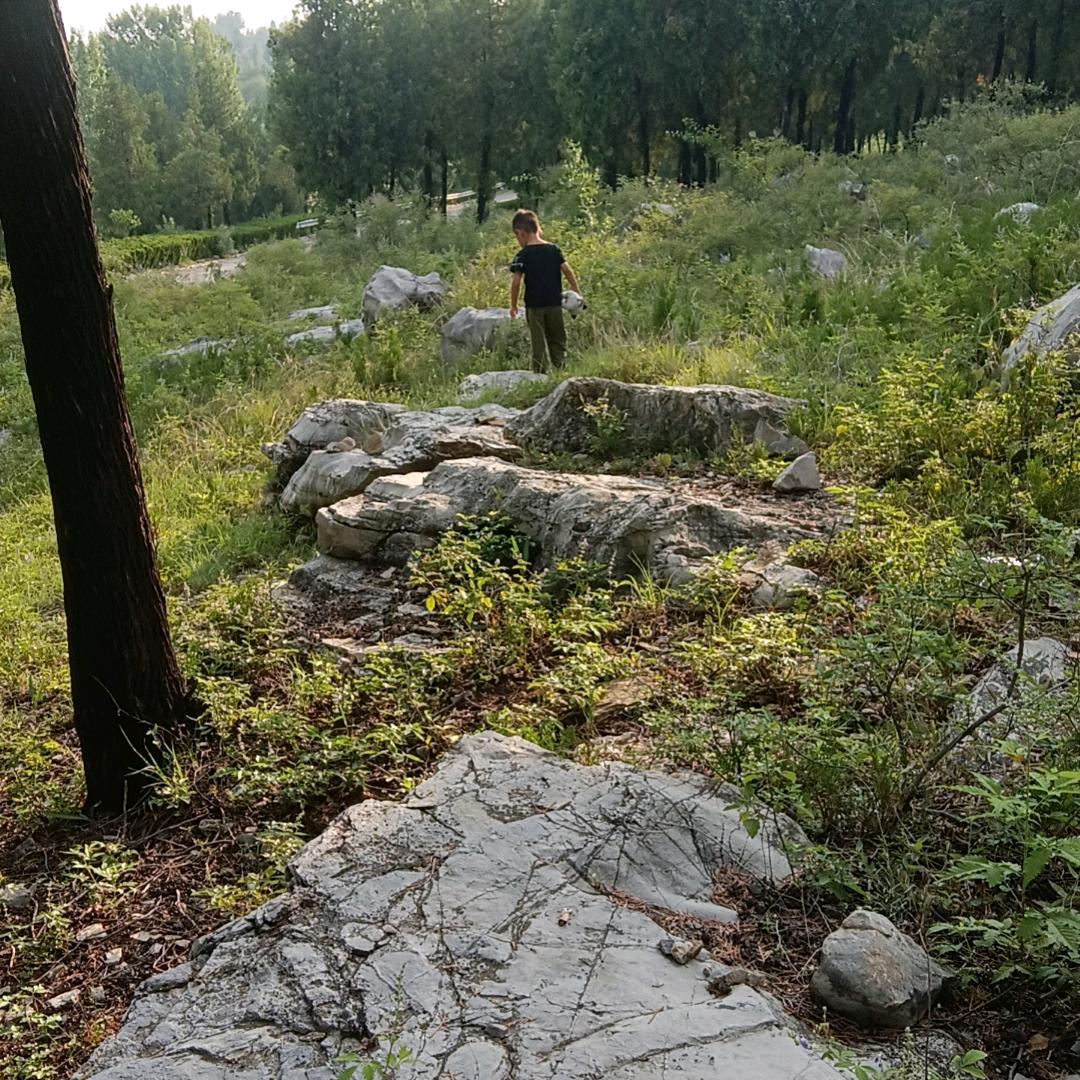 嘉宝日用品铺子