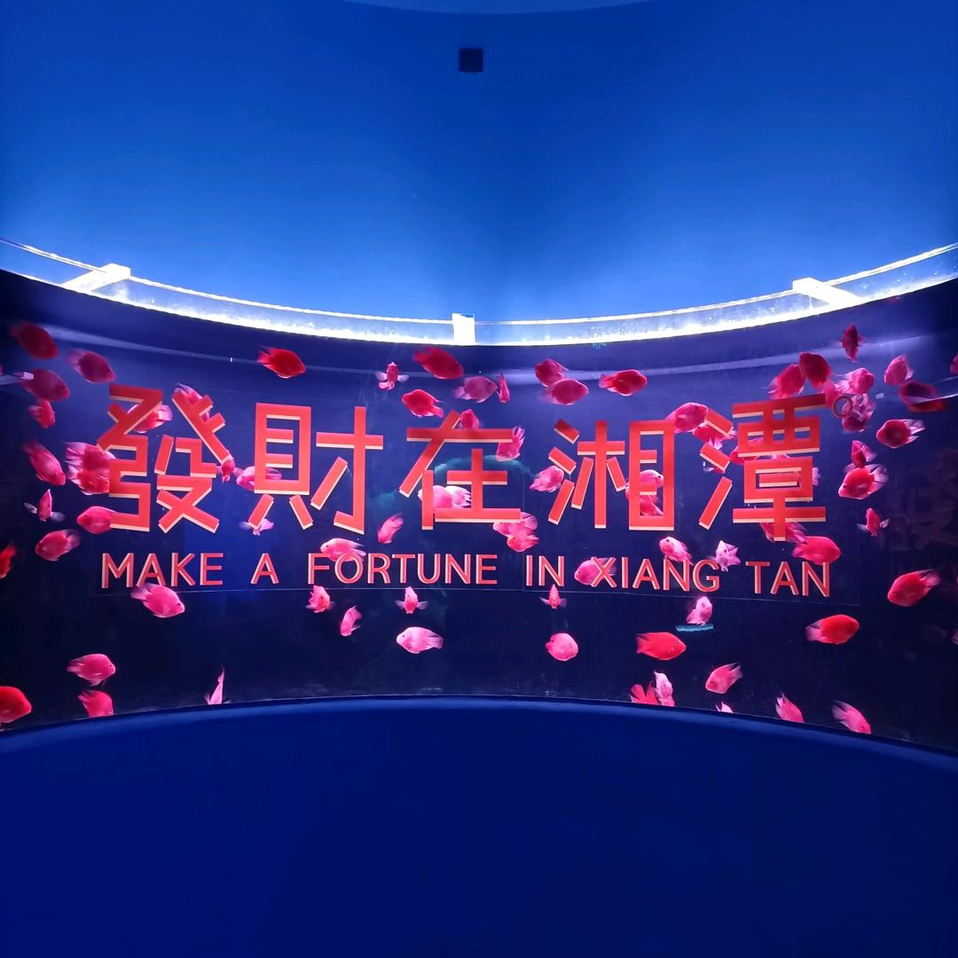 我很好