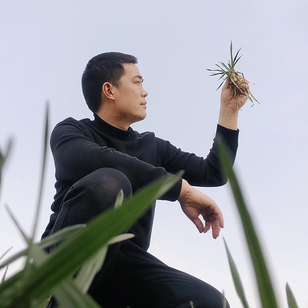 阿华聊农业