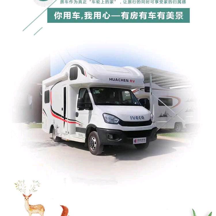 老王教练