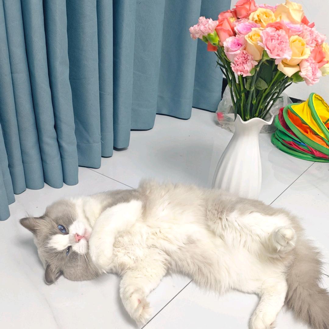 小心跳起来被我打到波棱盖儿