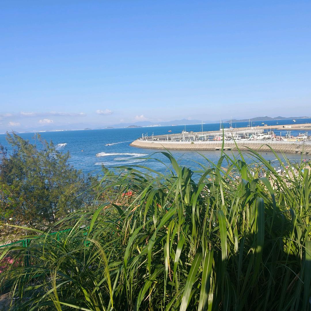 过期光盘修复中