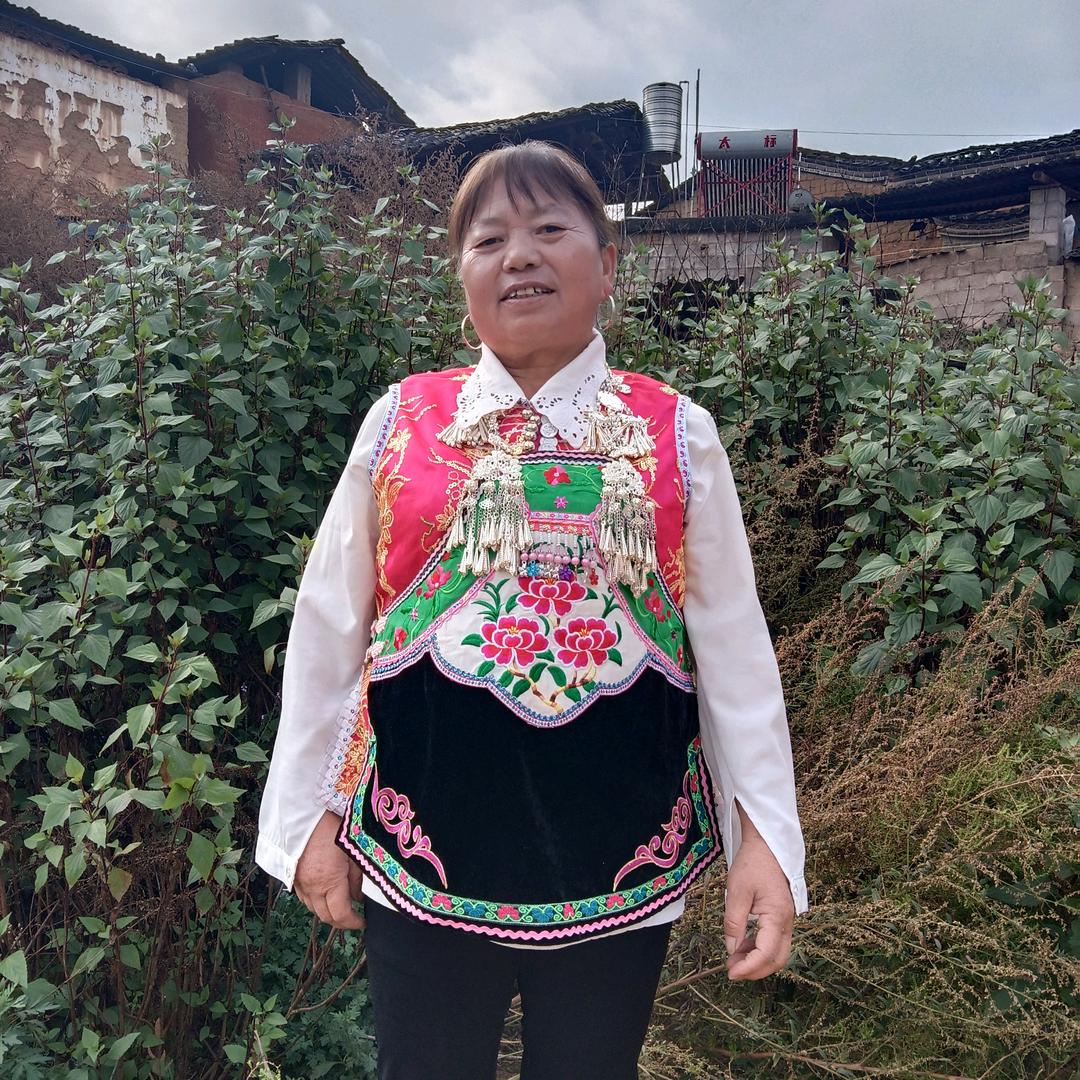 巡