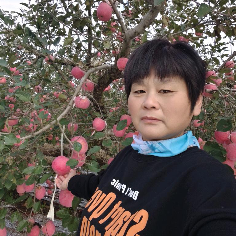 小苹果