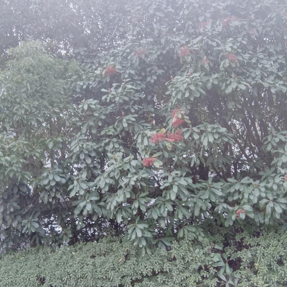 越来越好