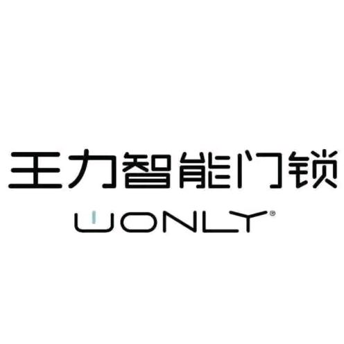滑县王力安全门智能锁