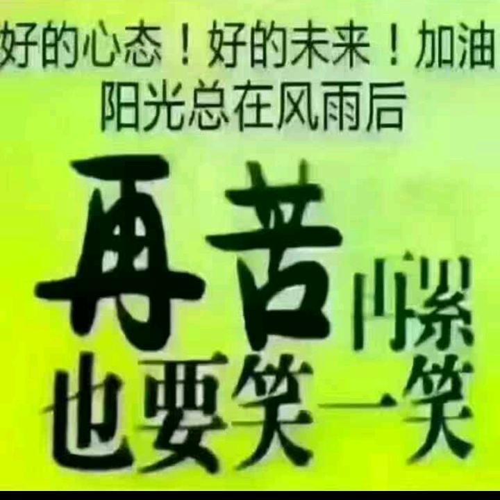 会飞的鱼