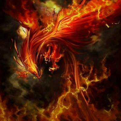 【弘川汽贸】聪哥秒车