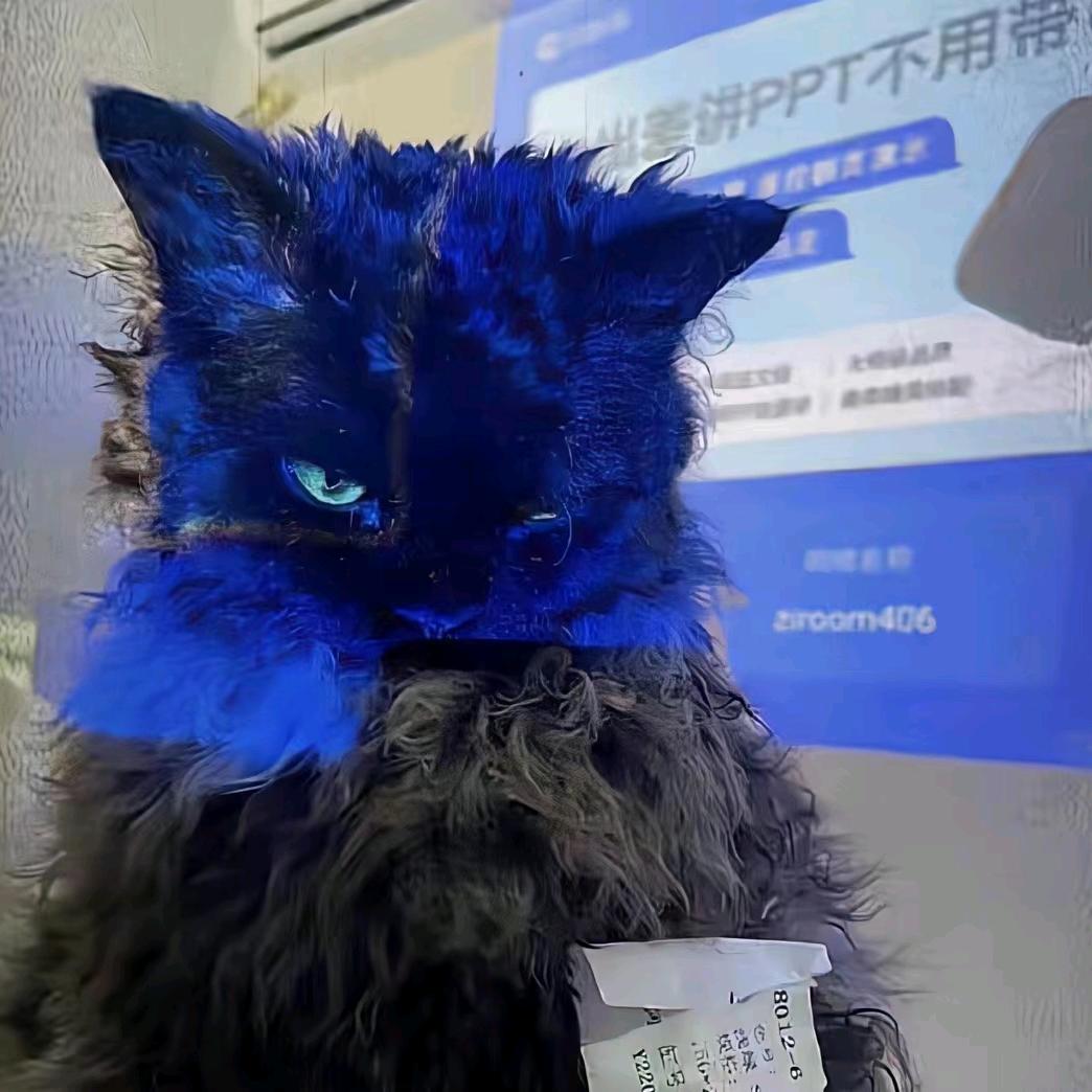 小白同学