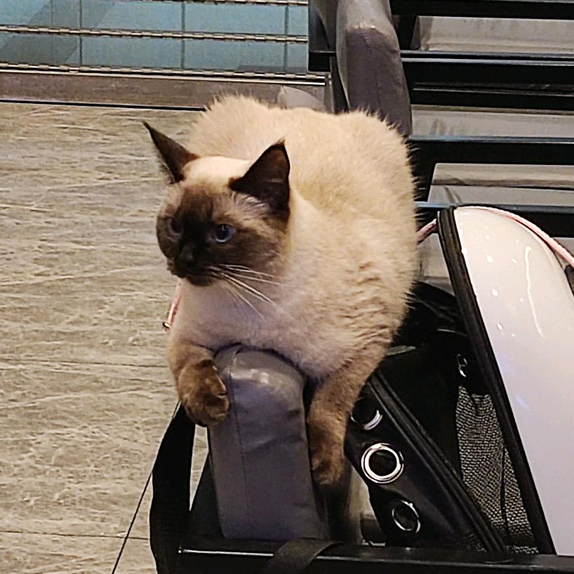 。。。。。。。。