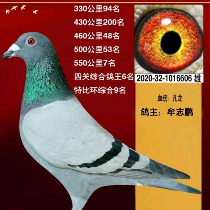 若尔盖汽配修理
