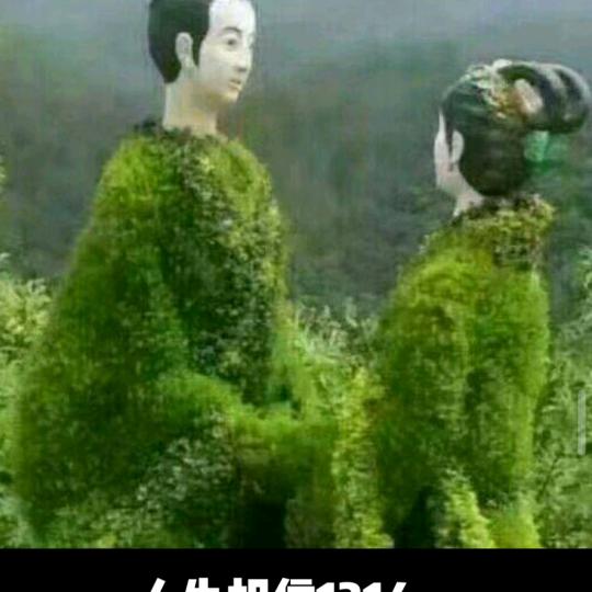 陪我走一趟