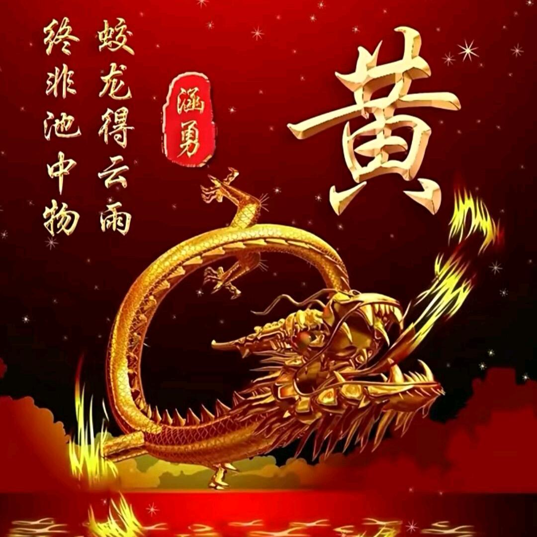 垫观猪垫头像家粉裙