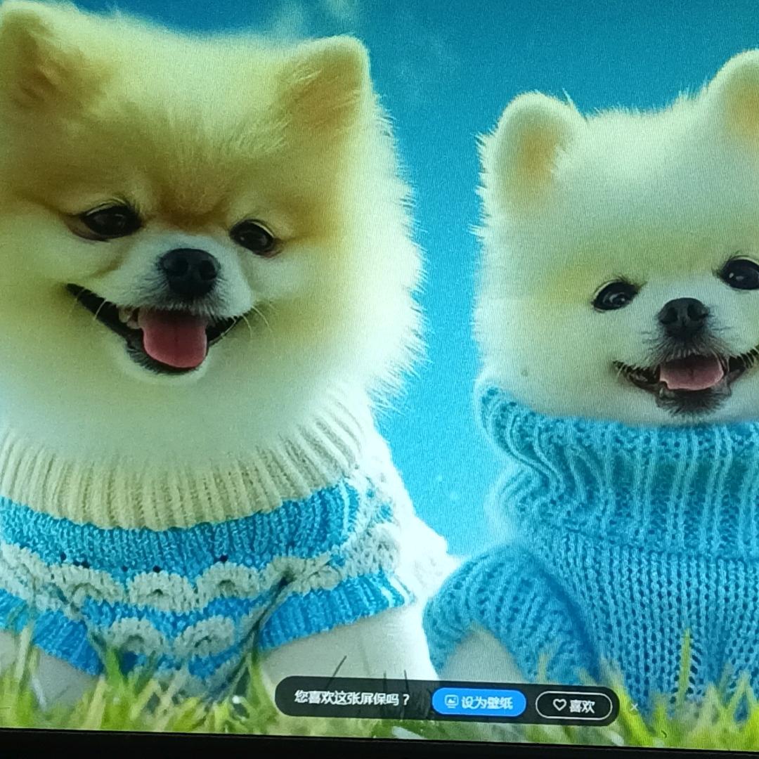 封心❤️锁爱