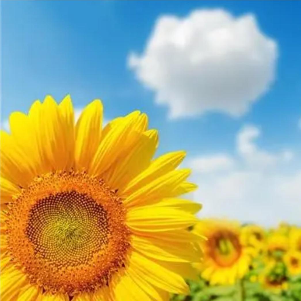 相信 相信的力量