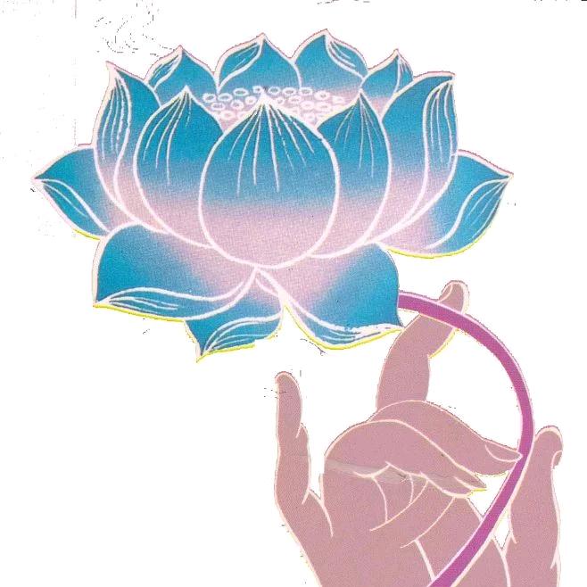 次》第》花》开》