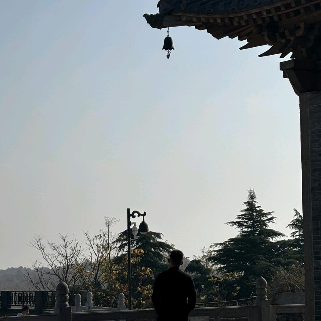 小猪历险记