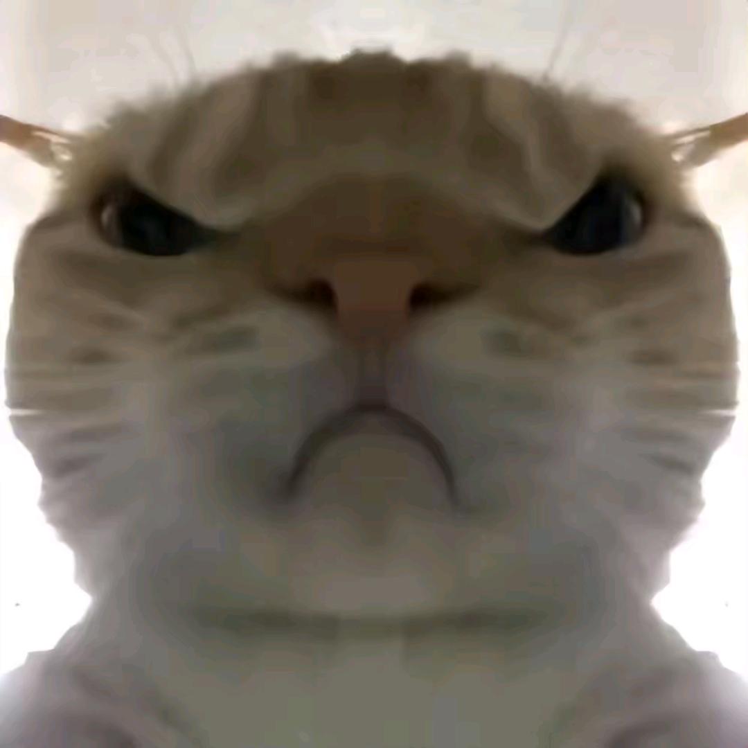 哈基光
