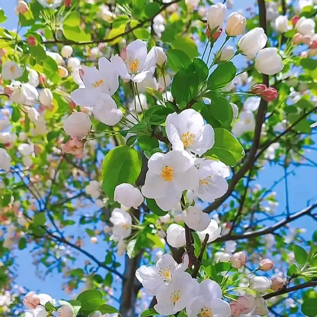 孤独比将就更有趣～