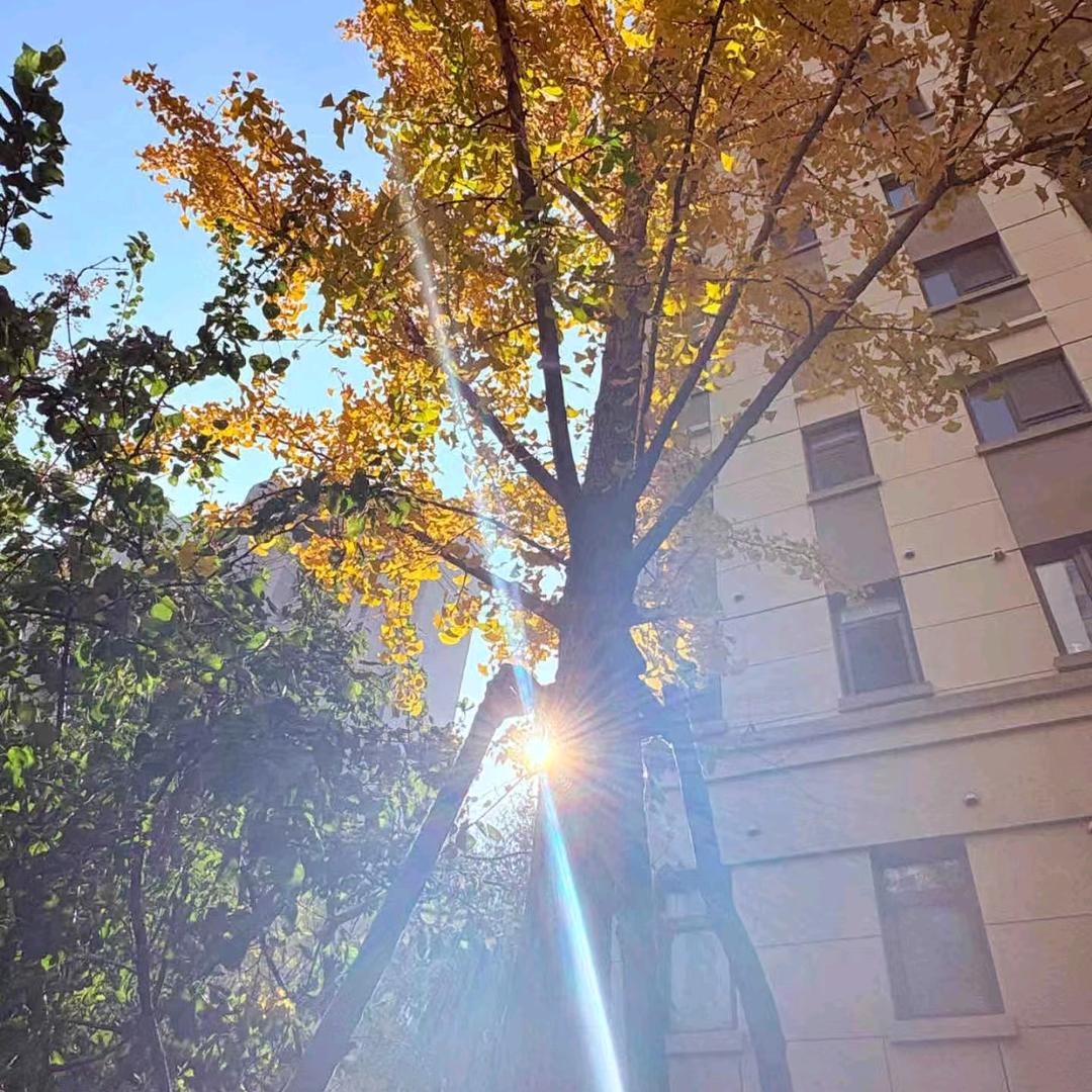 生活不易，且行且珍惜