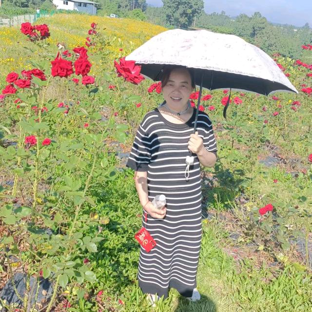 马英