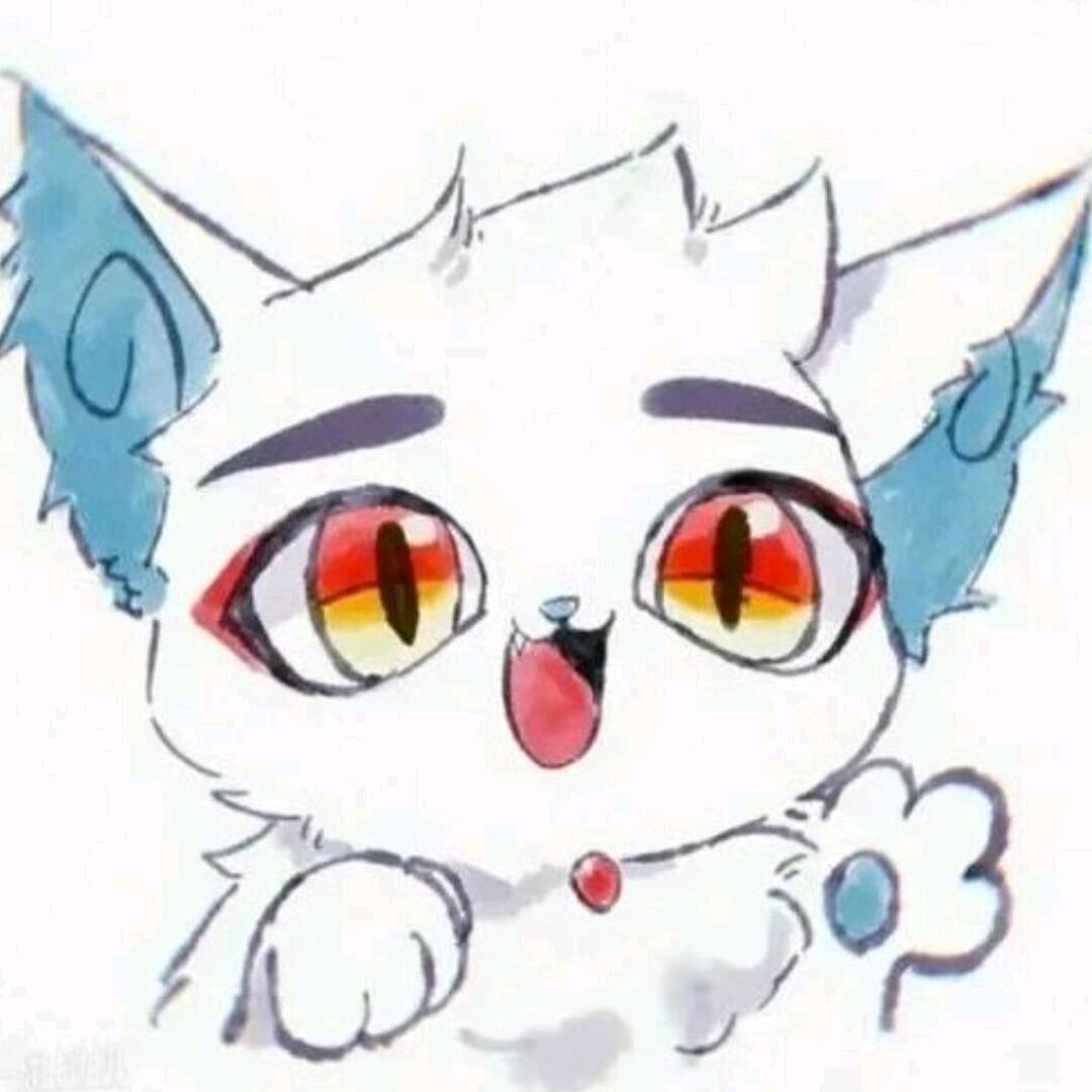 信仰京剧猫