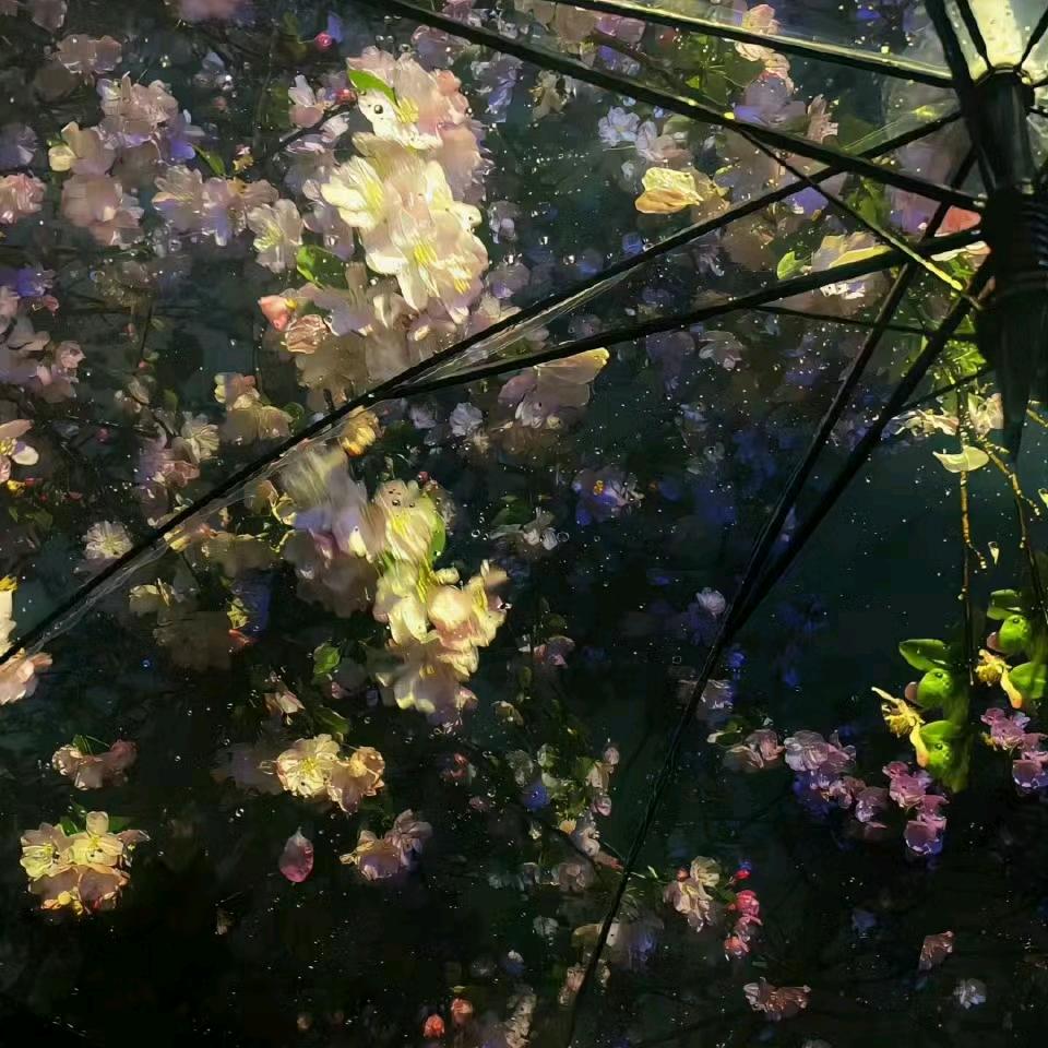 鸠占鹊巢咖啡☕️