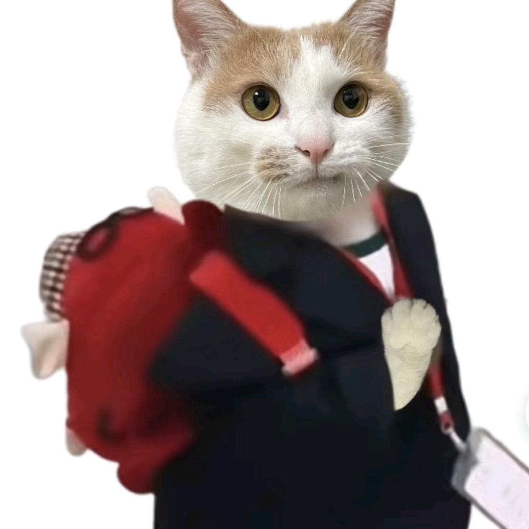pinkwang