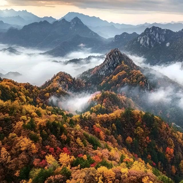 茉莉@