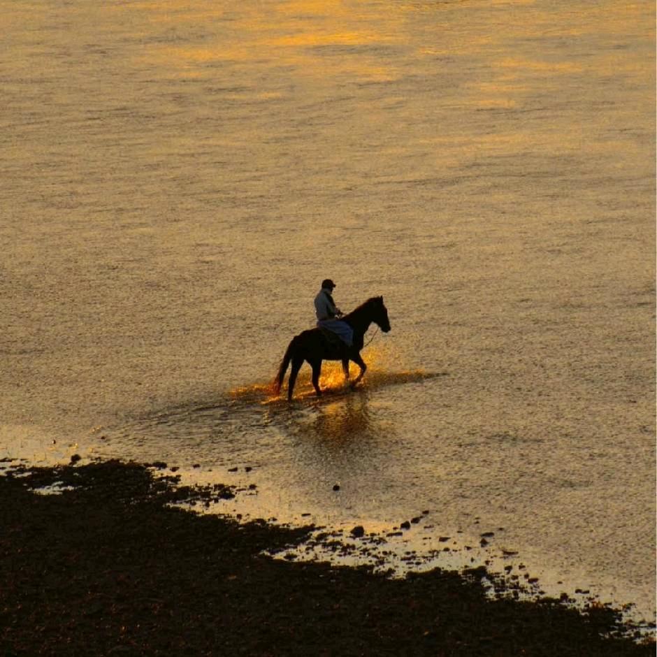 、                  .