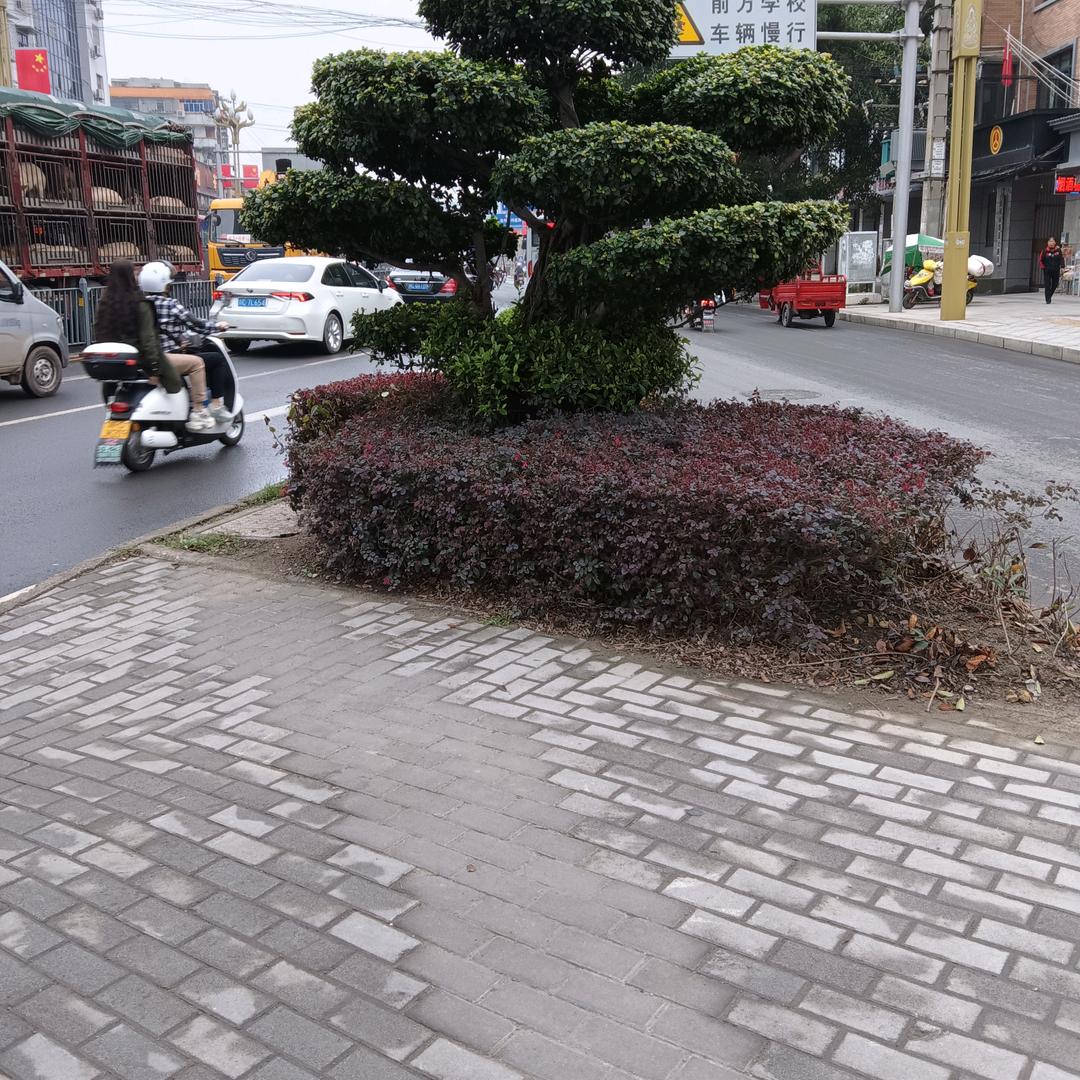 自然