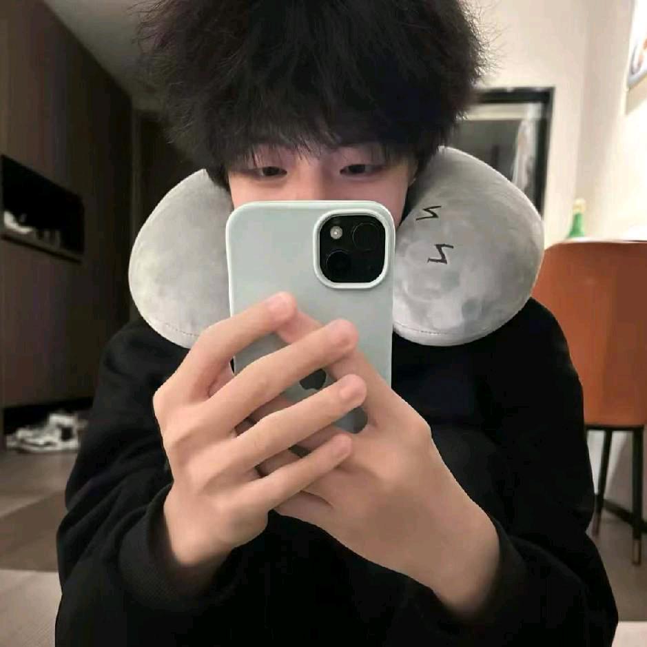 是木黄鴨