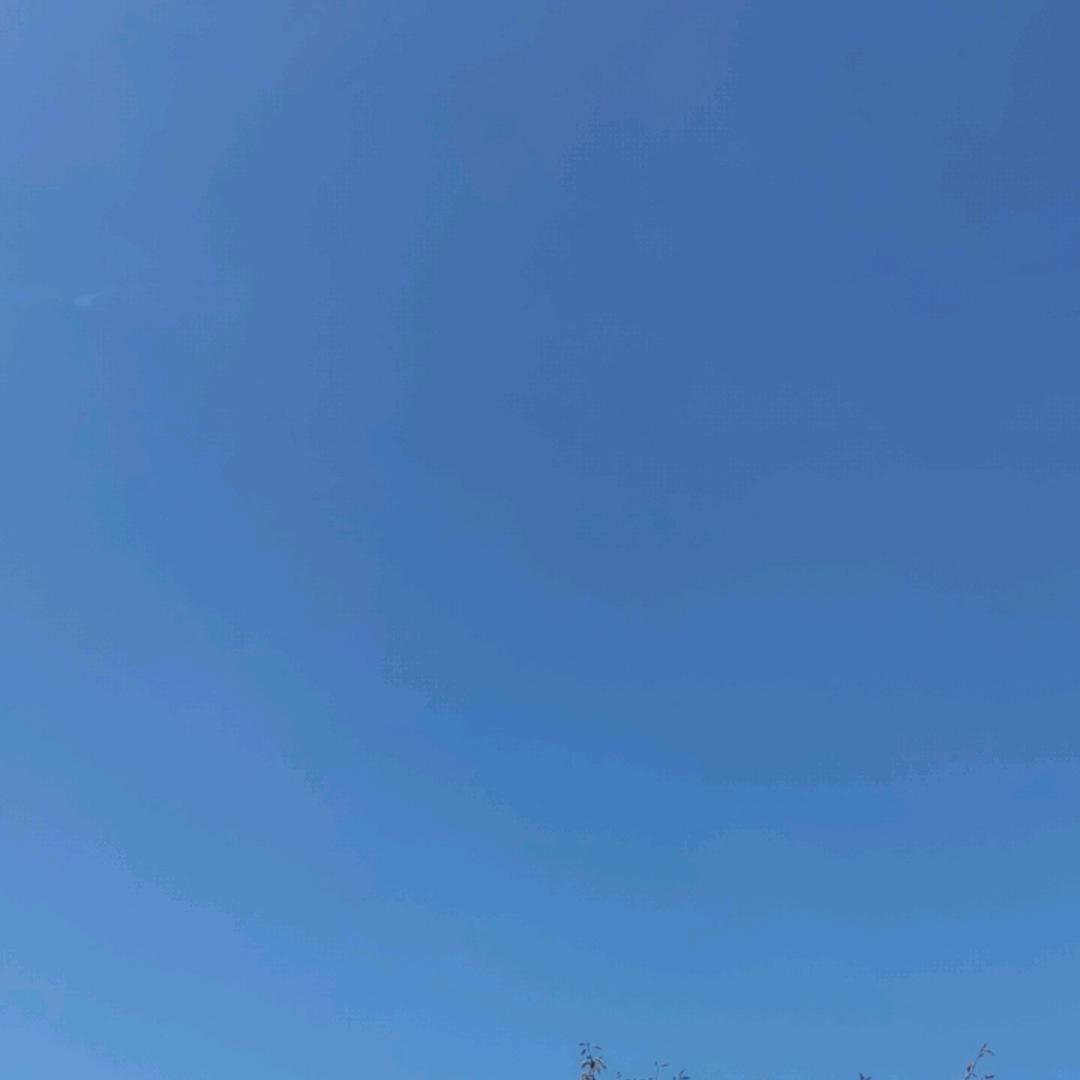 赵小弟