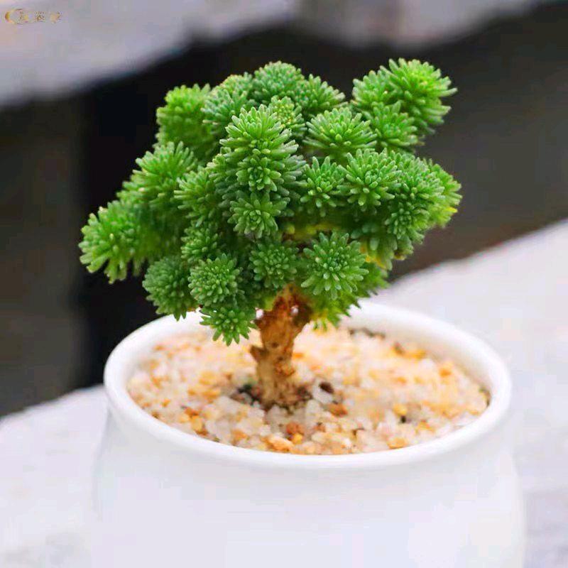 柠萌优选