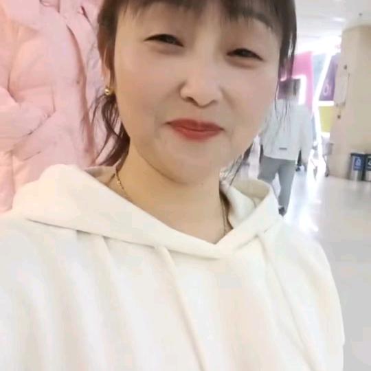 琴