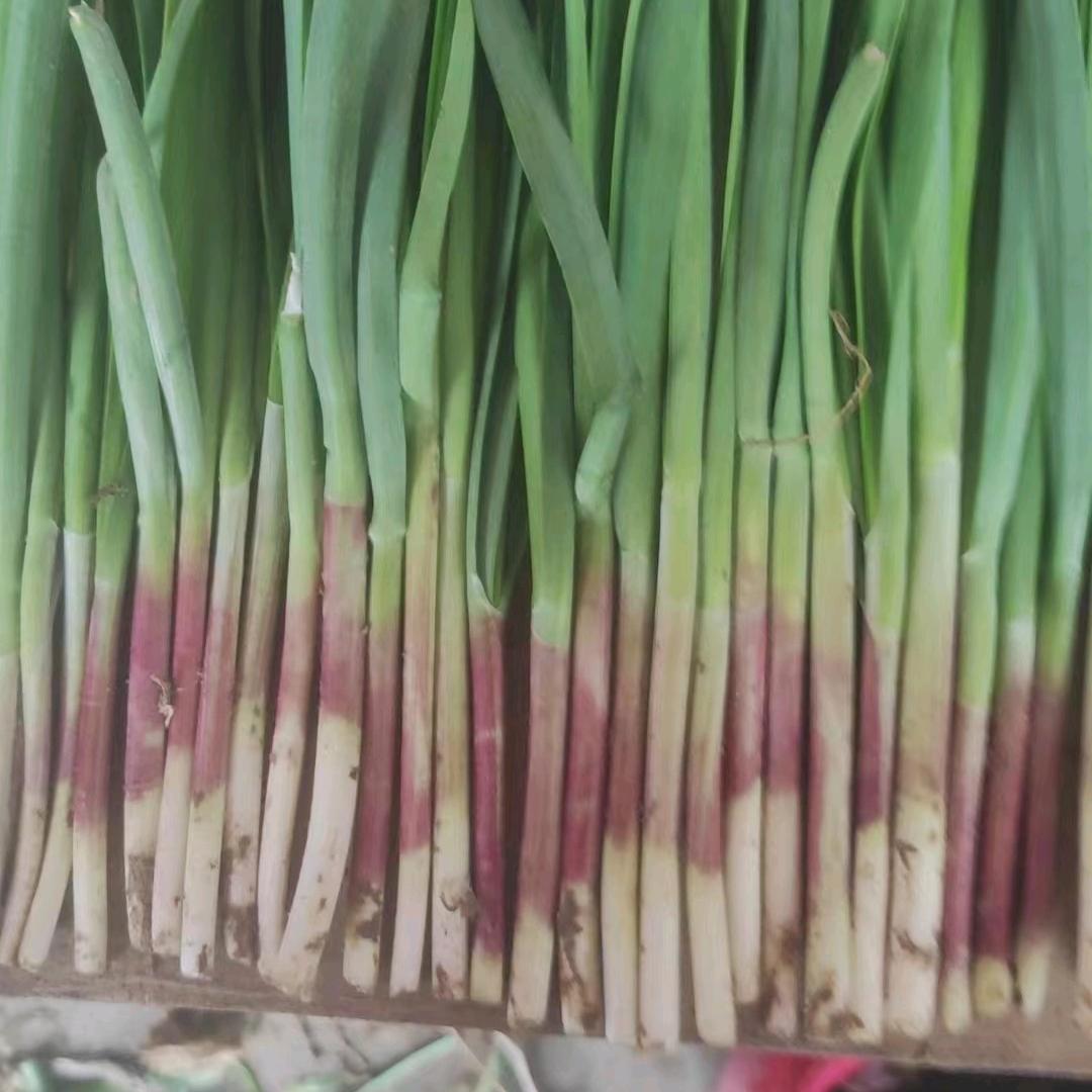 开心快乐每一天