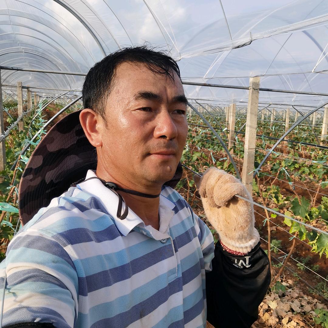 农夫老孟🍇🍊