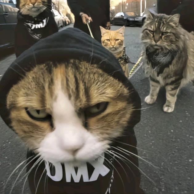 GG Bond不是猪
