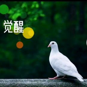 万众一心呀