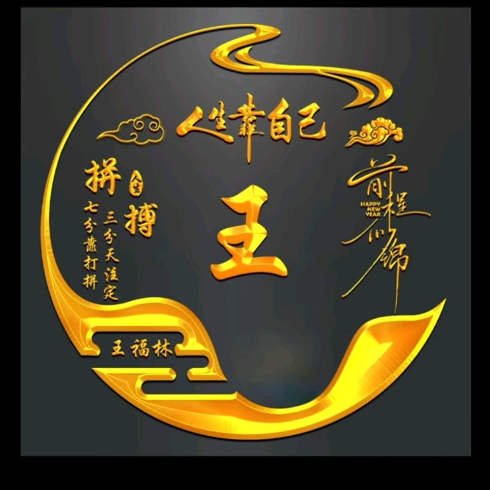 新疆王日能