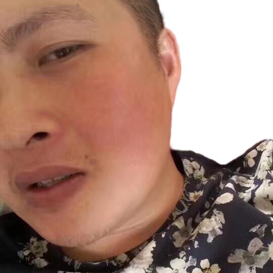 钢管出租桉树肥批发祝仔