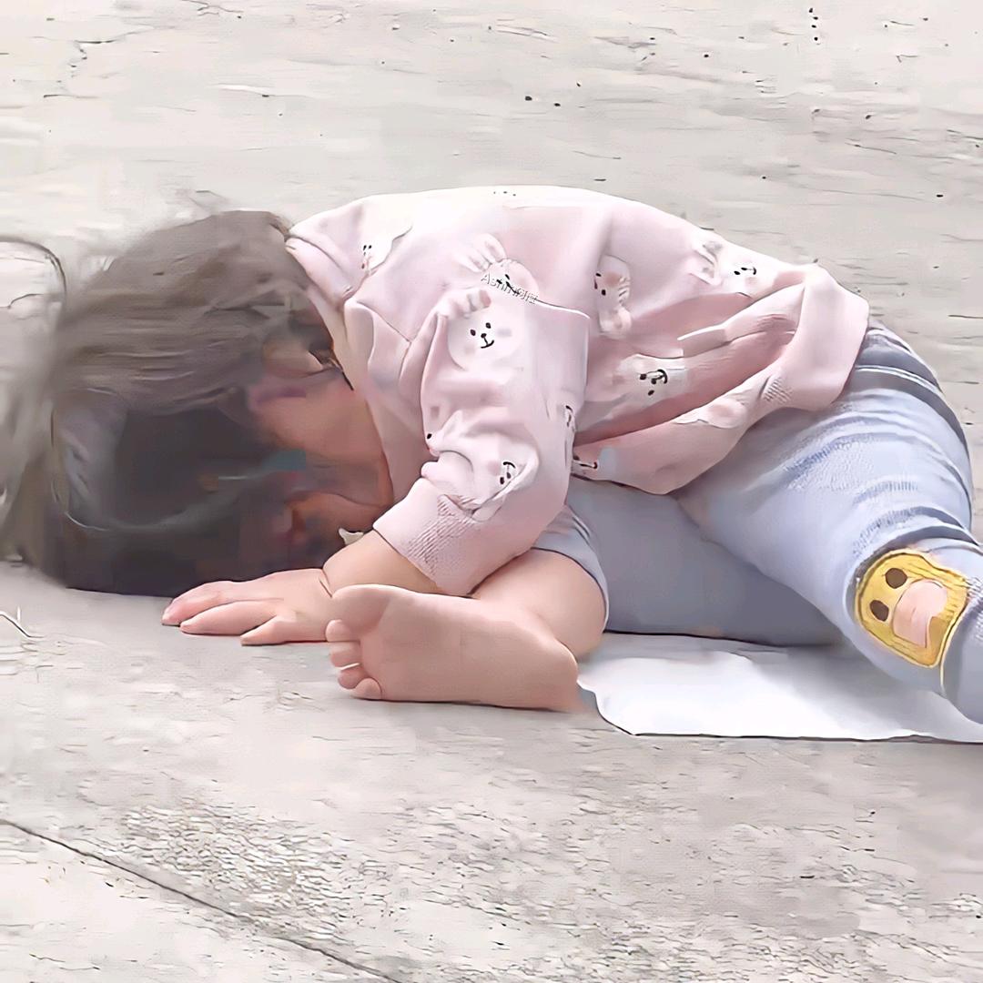 深巷与猫