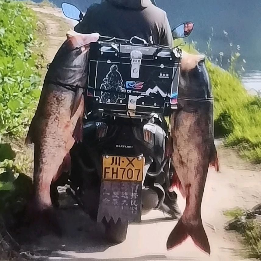 鑫鑫户外