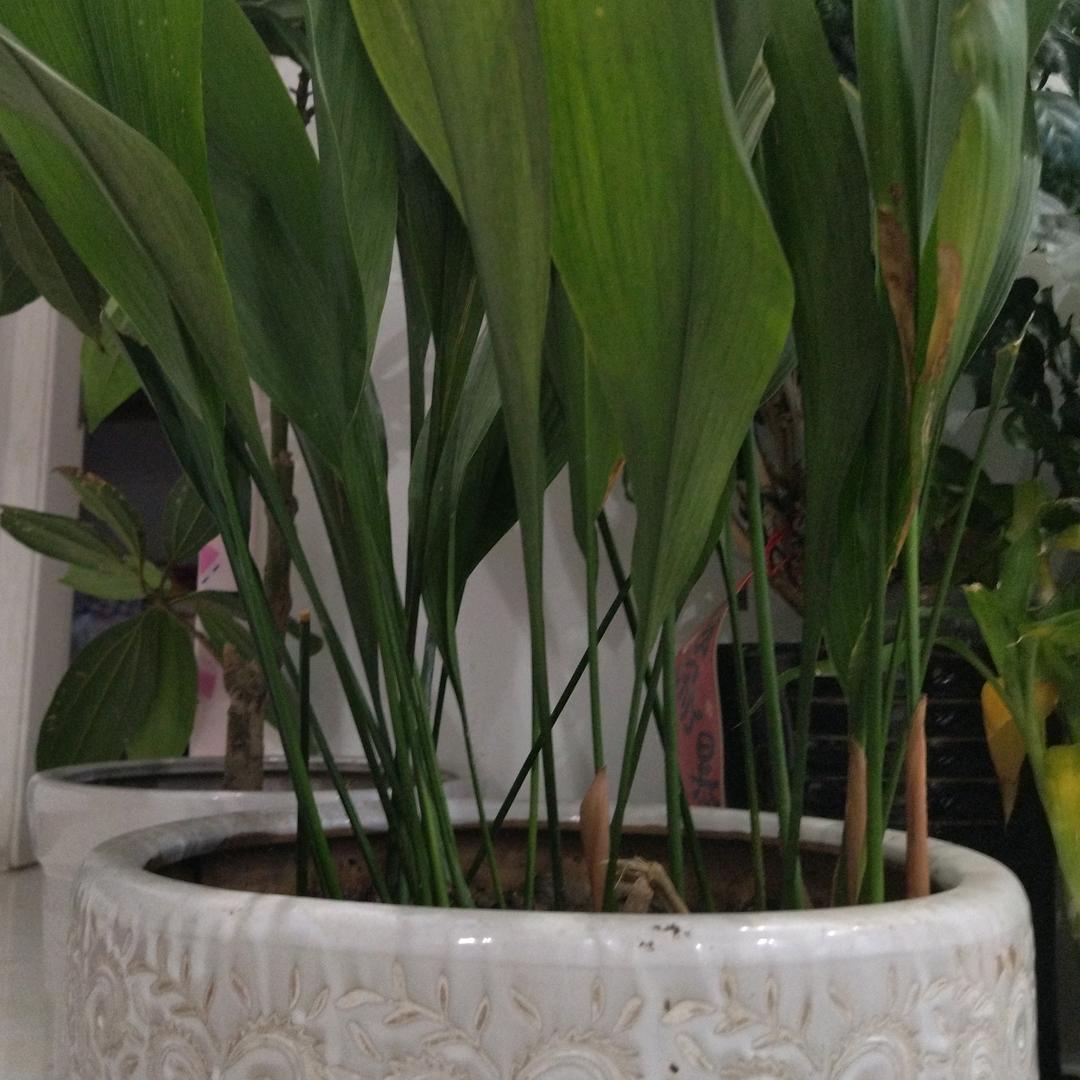 幸福快乐每一天！