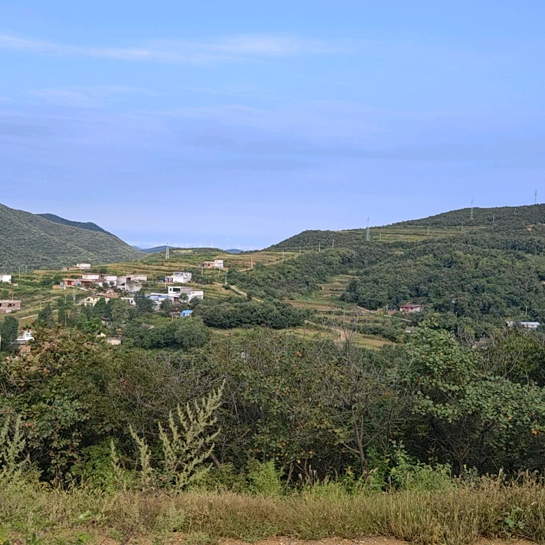 悦意山庄混养塘