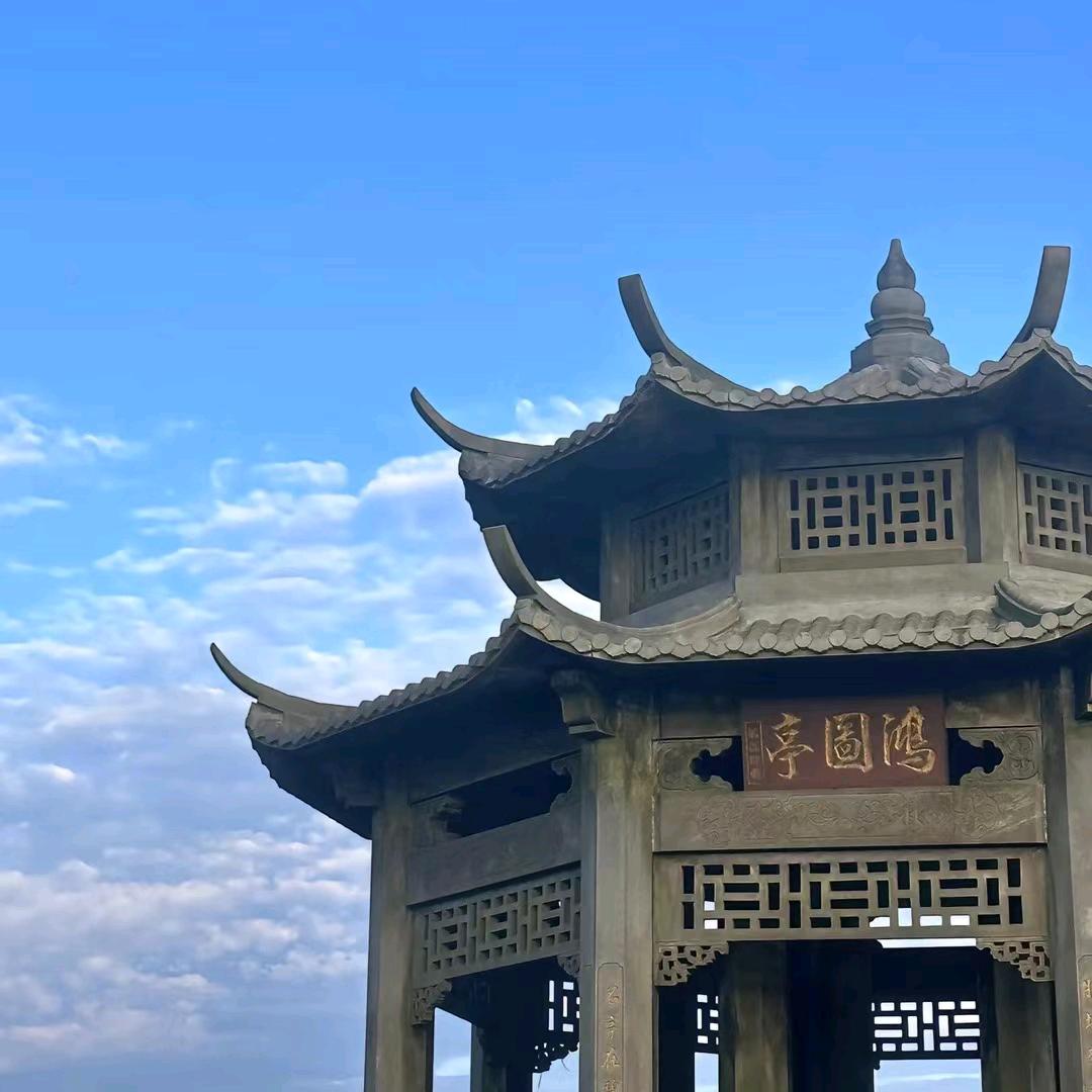 洒脱且兒鸿
