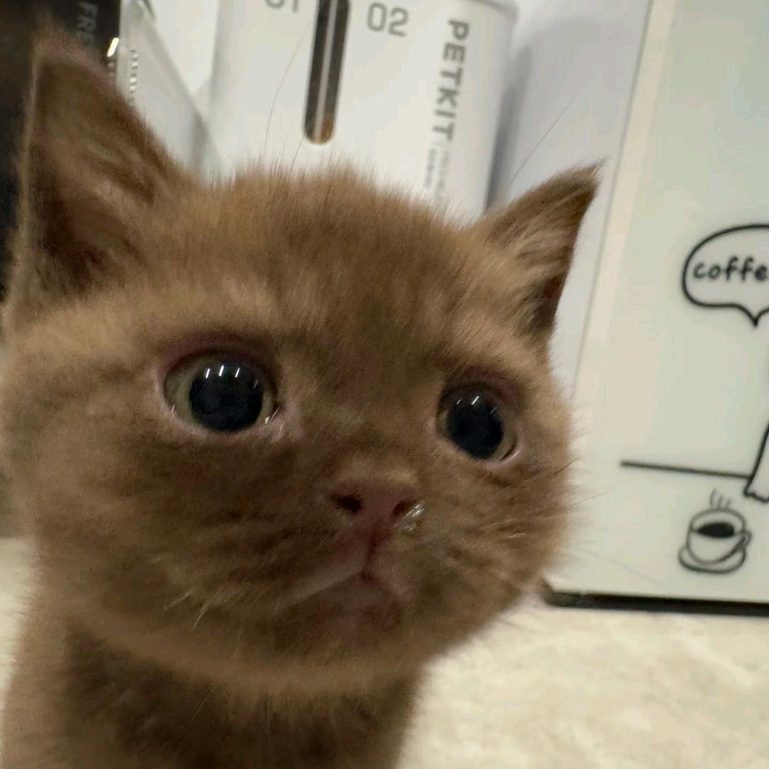 ๑ᵒᯅᵒ๑