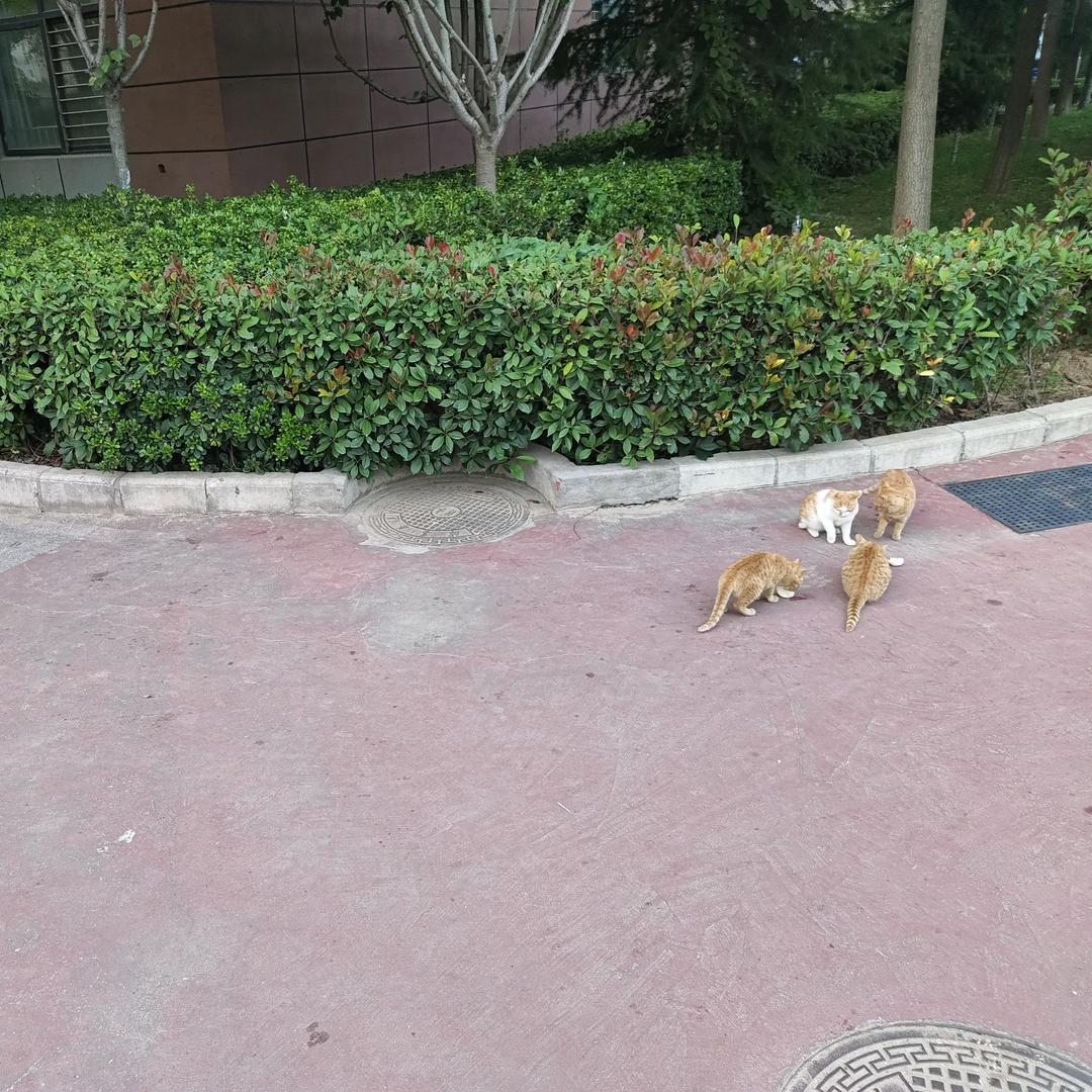 无远弗届