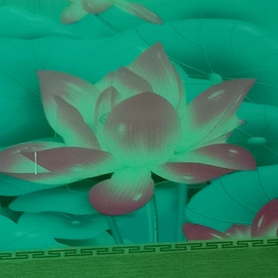 一生🌹平安