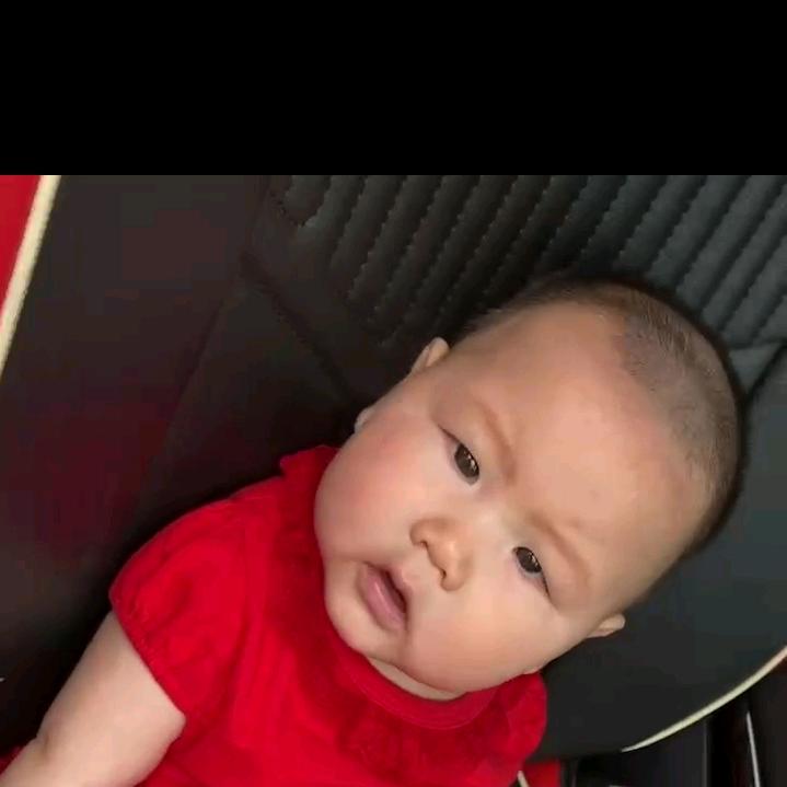 凡豆豆